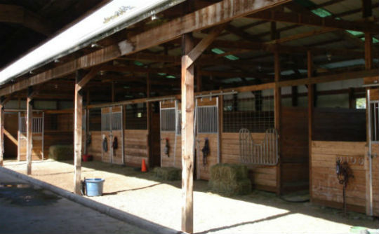 Triple C Horses Boarding Training Lessons Enumclaw