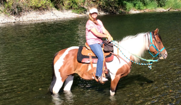 Triple C Pleasure Horses Boarding and Lessons